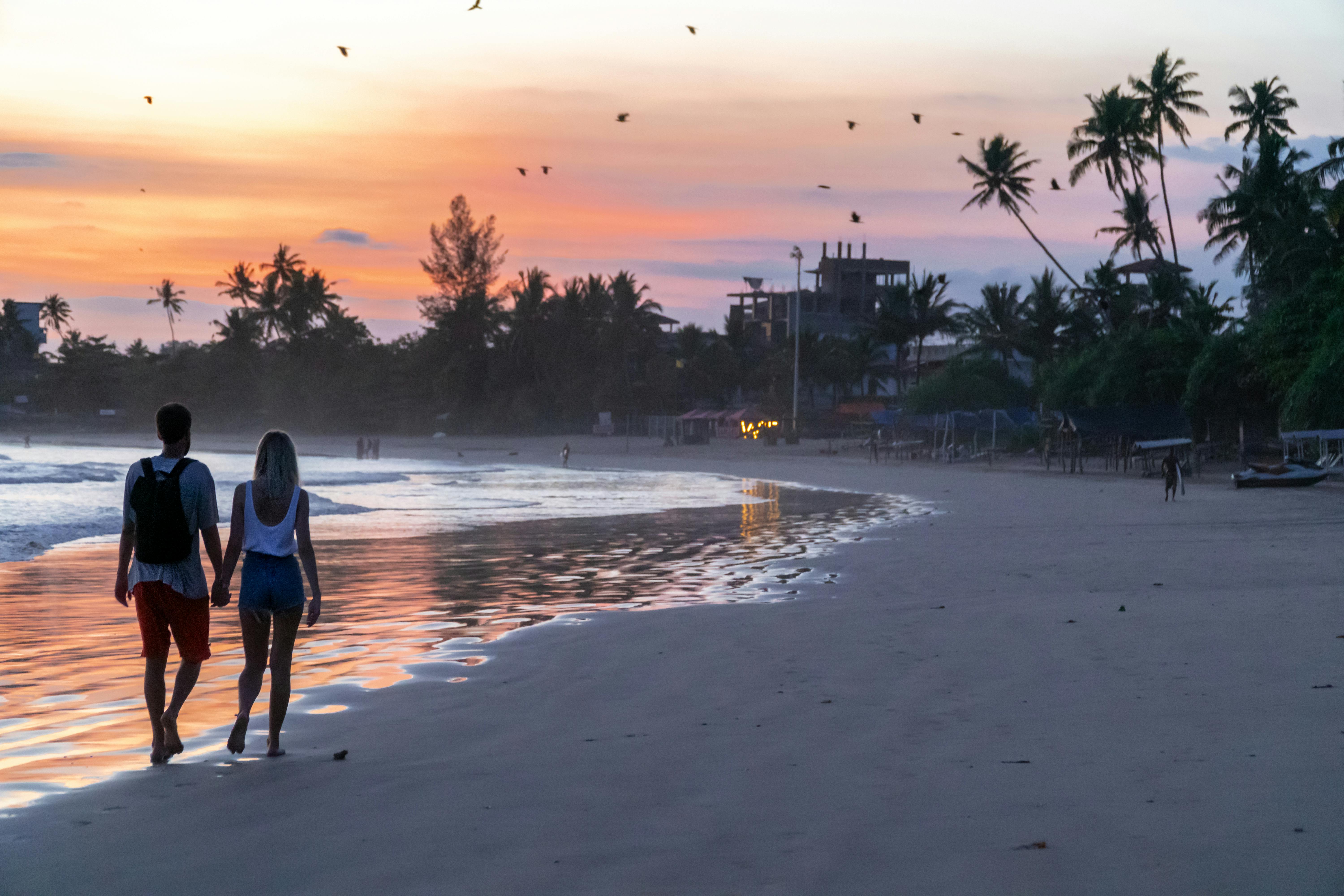 Customized Travel Packages