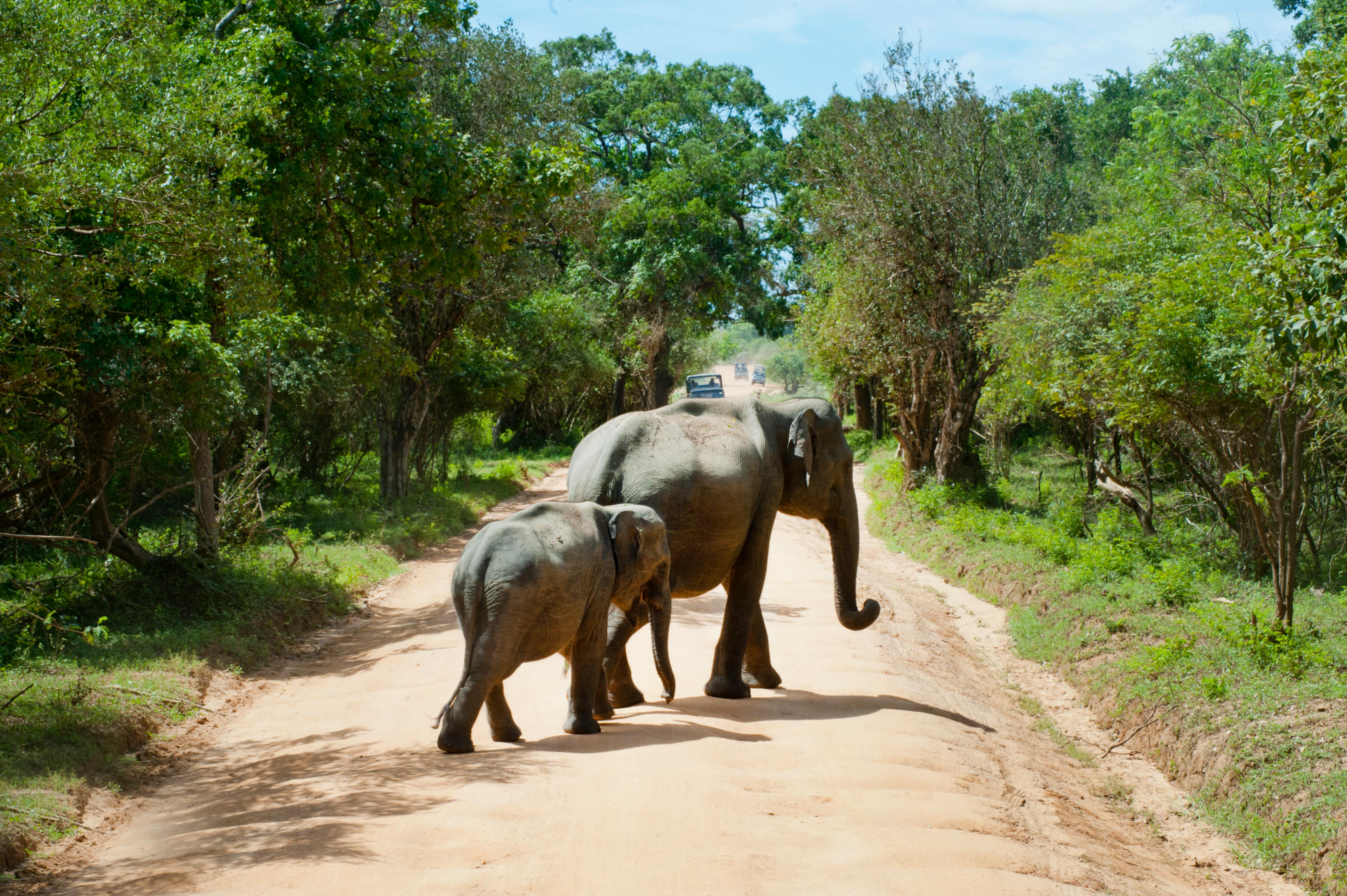 Island Tour Experiences
